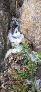 遇見初雪後，選擇撤退的玉山主峰行