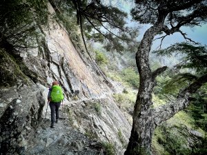 風大霧雨玉山主峰未竟之 排雲步道悠閒行