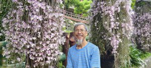 人生首見 #花旗木 #花博公園 首訪 #法雨山普宜苑  #石斛蘭 #守城滿山紅 4/21&23