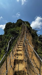 孝子山、普陀山、慈母峰賞鹿子野百合O走