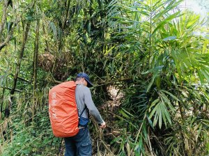 台南小百岳-竹子尖山與南瀛百岳-竹子尖山東峰及梅峰，以梅峰古道及梅龍步道串行