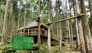 馬武督探索森林，綠光小學，馬武督瀑布，虹橋瀑布，楊梅神木，夢幻柳杉林