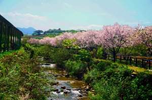 桃花源、三生的浪漫