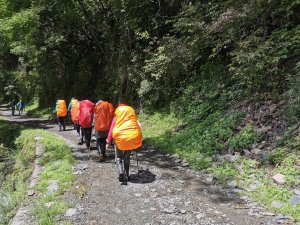 【公告】除腳踏自行車、電動輔助自行車、公務車及緊急救護車輛外，其他未經核准禁止進出大鹿林道東線