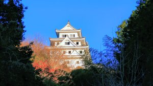 郡上八幡城的白帆