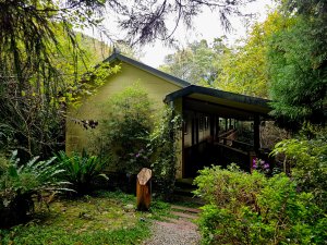 白蘭溪古道-2025森遊竹縣皮皮獅探險隊