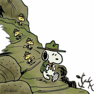 芷V的頭像