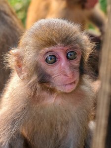 【台灣健行】壽山國家自然公園