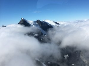 紐西蘭南島峽灣冰河