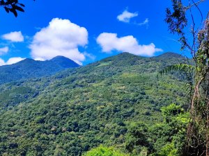 內洞國家森林遊樂區步道 - (新北)臺灣百大必訪步道