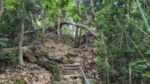 【臺中】北屯南觀音山｜小百岳