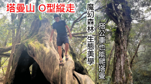 【塔曼山 O 型縱走】魔幻森林 生態美學 新北市第一高峰 發現穗花蛇菰 塔公車爬山