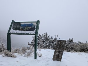 冰雪不奇緣的關山撤退記