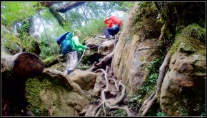 小百岳：【加里山】（鹿場）