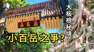 飛鳳山－觀日坪古道｜小百岳竟有爭議？探訪大板根秘境