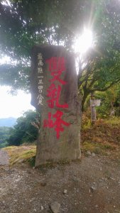 金針花太麻里山