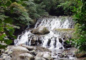 【溫泉步道小旅行】滿月圓走春