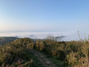 【台北】陽明山東西大縱走