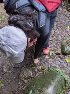 【我淨山我驕傲】阿里山頂湖步道一日淨山