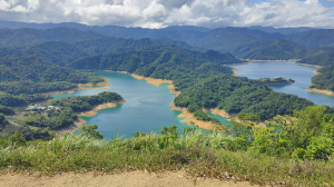 2025-020A：小格頭連走鱷魚島、土虱頭出十三股