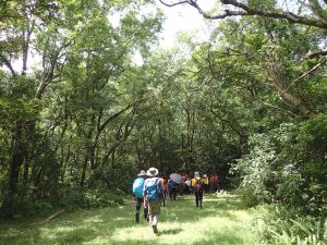 雙溪, 中坑步道-中坑頭鞍部-枋山坑山-過火坪十字鞍部 O型回中杭橋