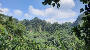 《南投》峰峰相連｜草屯九九峰森林步道O型20250906