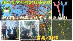 113.12.29苗栗／獅潭  猶如吉伊卡哇討伐棒形狀（新石門山-和興山-銃庫山-新田山）Y形