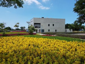 【新聞】新北公園換裝登場 彩色植栽受讚嘆