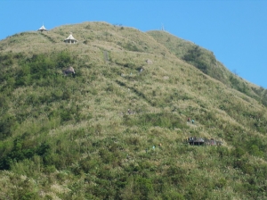 【新北市】大肚美人山秋芒