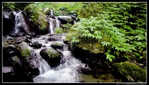 〖聖母山莊國家步道〗賞皺褶地形