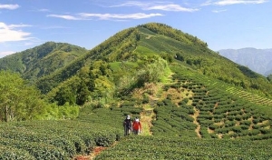 梨子腳山