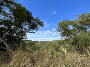 [台中×大肚區]　大肚萬里長城步道
