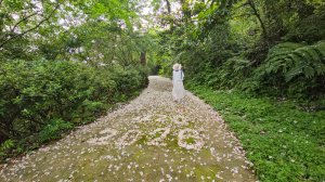 20260421神棹山桐花
