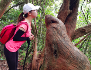 中部登山【谷關七雄-老三屋我尾山橫嶺山】巧遇可愛水獺