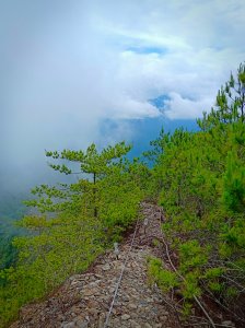 屋東縱走，真正O環路線