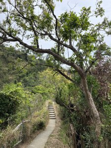 小百岳-大社觀音山