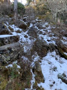 雪山主東賞雪行