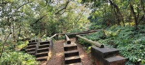 2024/12/28-蓮華山古道群：飛龍步道、進香古道、採茶古道、載熙古道