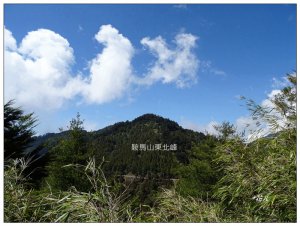 大雪山啞口觀景台步道