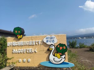 山梨縣山中湖(天鵝湖)