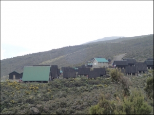 飄洋過海來看你-Mt. Kilimanjaro-3