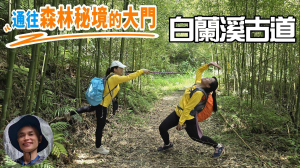 打開森林秘境大門白蘭溪古道，平緩好走，親子皆宜，高聳柳杉、筆直桂竹，森遊竹縣人氣打卡步道，兼具賞櫻、人文、歷史與自然的古道。