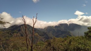 從此山到彼山-回家之路