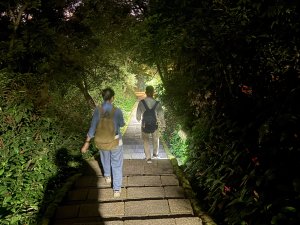 下山時膝蓋疼痛？可能不是受傷，而是你的「下山能力」不足