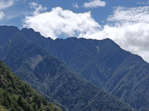 南玉山的真傳統/非傳統路線? 楠溪林道經巴伊車留山直上南玉山~難!遇!跚!