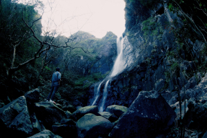 【阿里磅瀑布】陽明山冷門步道，壯闊幽靜的阿里磅瀑布