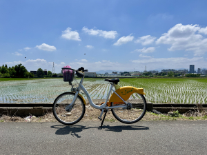 霄裡好風光，運動樂悠遊！