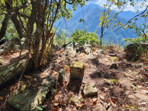 20231112東卯山東峰、北松鶴山及東卯山東南峰