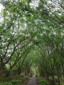 功維敘隧道-貓狸山公園