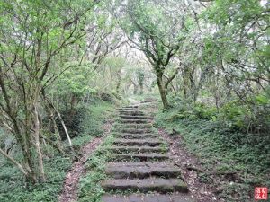 二子坪-大屯山主峰步道O形